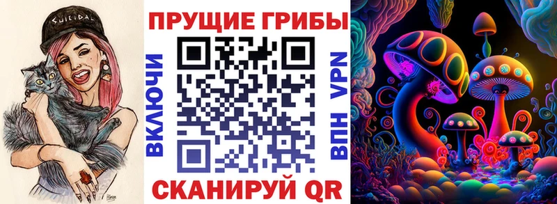 дарнет шоп  Алатырь  Псилоцибиновые грибы GOLDEN TEACHER 